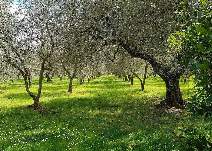 דירה Ophelia Ravi